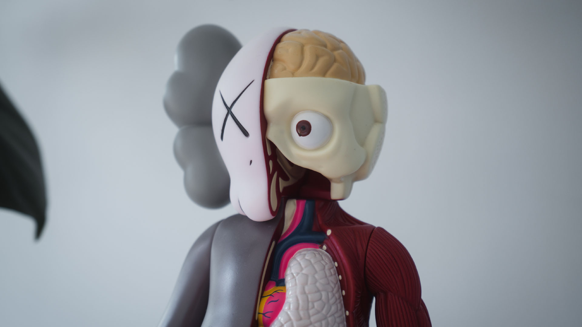 KAWS