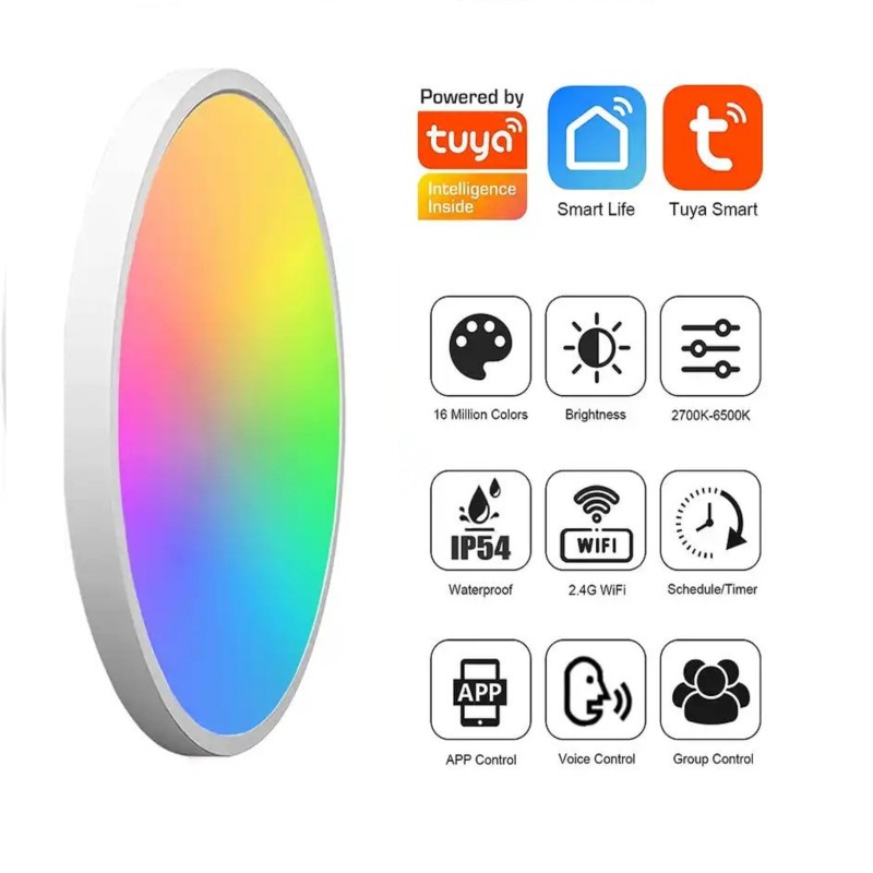 Smart RGB Ceiling Light