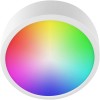 Smart RGB Ceiling Light