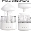 Rain Cloud humidifier